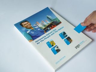 PGN GAGAS - 2013 Annual Report